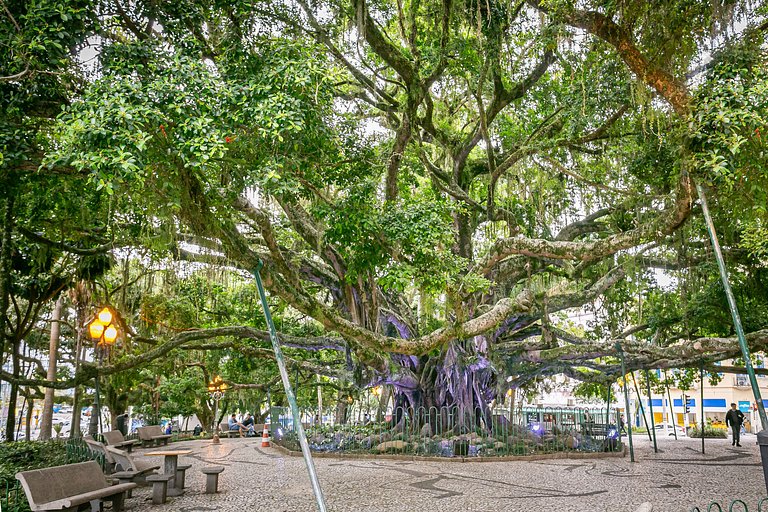 ap completo a passos da praça xv e catedral